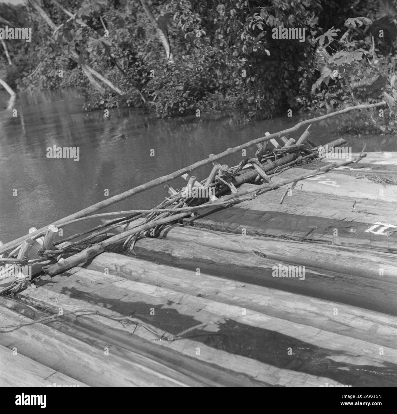 Viaggio in Suriname e le Antille olandesi Dal legno abbattuto una zattera è stata fatta con lianas che sgorga giù il Marowijnerivier Data: 1947 posizione: Marowijne, Suriname Parole Chiave: Wooddustry, giungle, zattere Foto Stock