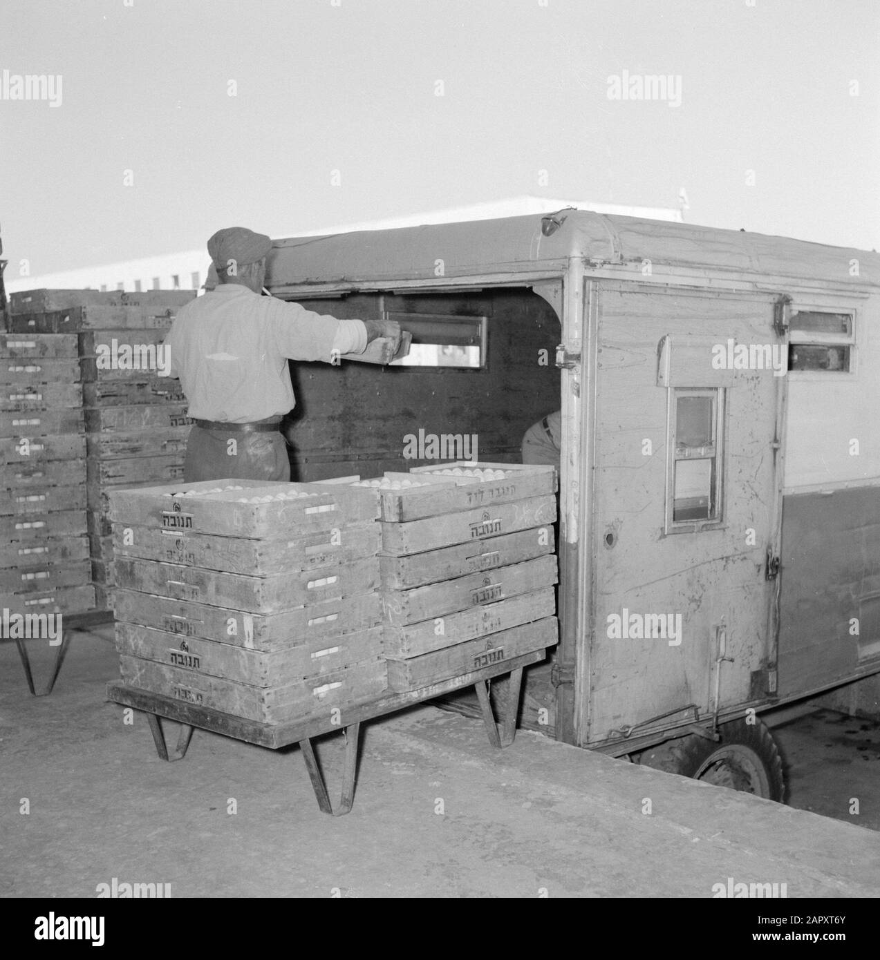 Israele 1964-1965: Tel Aviv, Food Auction Da un camionisti stanno caricando e scaricando scatole di frutta per l'edificio dell'asta Data: 1964 Località: Israele, Tel Aviv Parole Chiave: Operai, scatole di frutta, trasporto merci, carico e scarico, aste, cibo Foto Stock