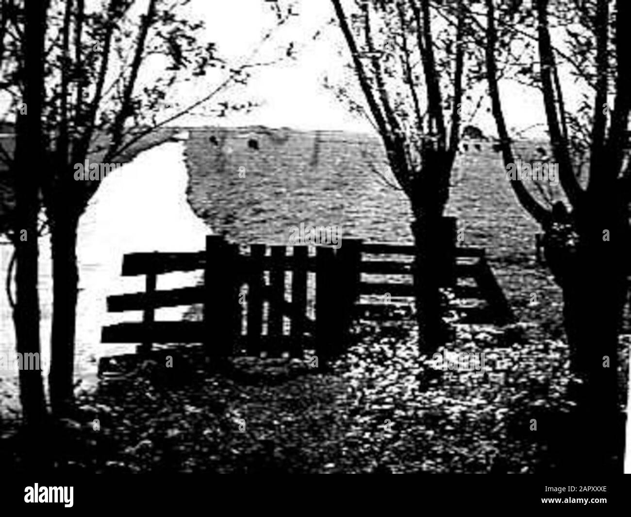 Spring Annotation: [Negative Missing] Date: January 16, 1946 Keywords: Spring Foto Stock