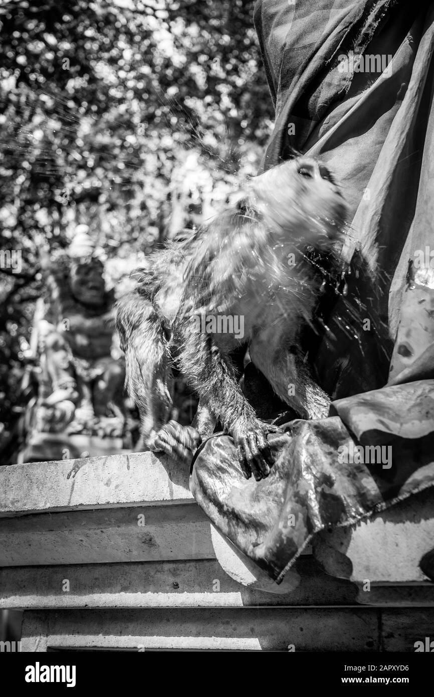 OLYMPUS FOTOCAMERA DIGITALE Foto Stock