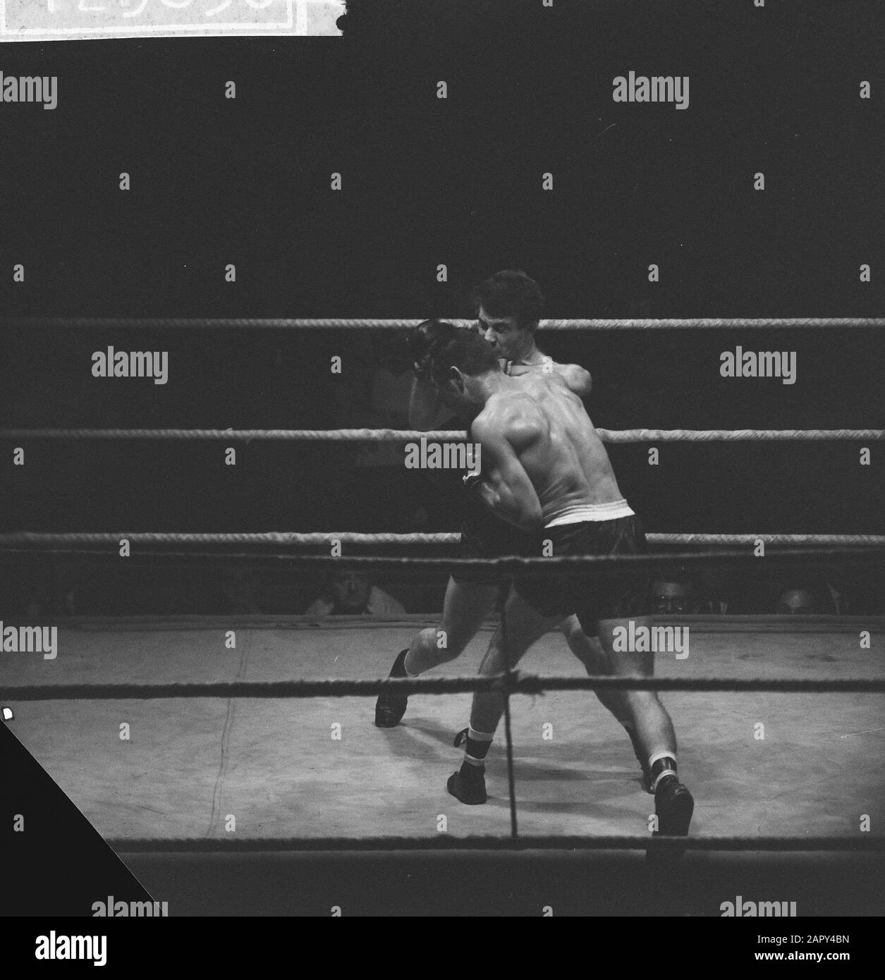 Campionati Paesi Bassi Boxing A Krasnapolsky. Gerard van Eyck e Nelis Oostrum Data: 27 settembre 1961 luogo: Amsterdam, Noord-Holland Parole Chiave: Boxing, CHAMPONIES Nome dell'istituzione: Krasnapolsky, Paesi Bassi Foto Stock