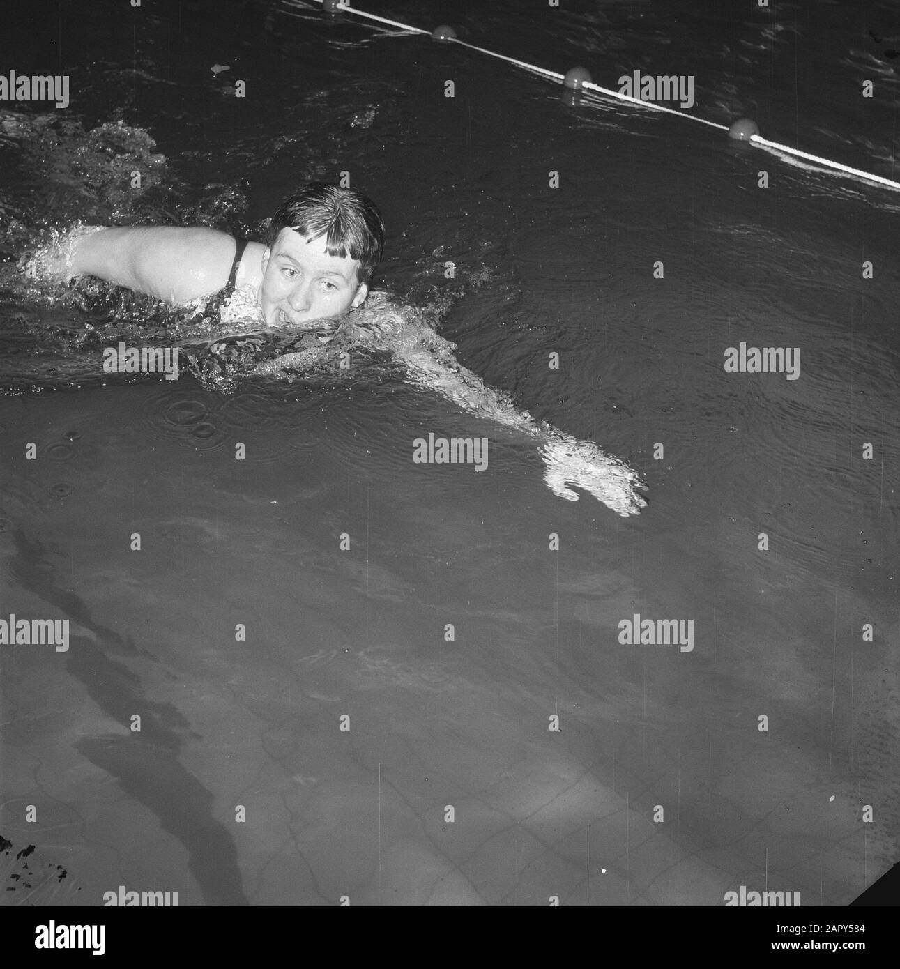 Marianne Heemskerk migliora il record europeo. Crawlslag Data: 28 Febbraio 1962 Parole Chiave: Nuotatori Nome Personale: Heemskerk, Marianne Foto Stock