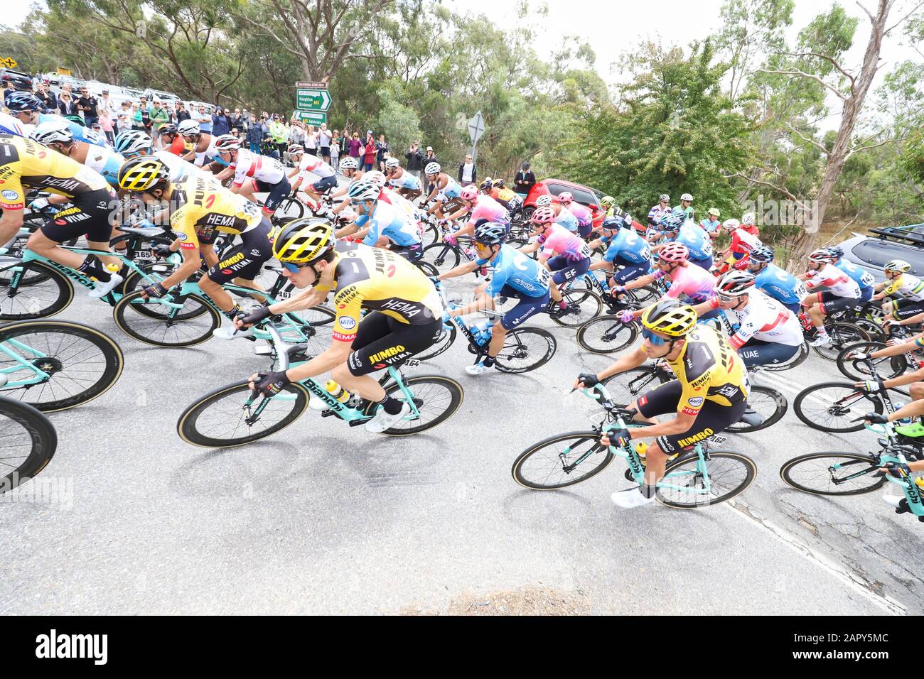 Piloti in gara sulla terza fase del Tour 2020 In bicicletta vicino Adelaide Australia Foto Stock