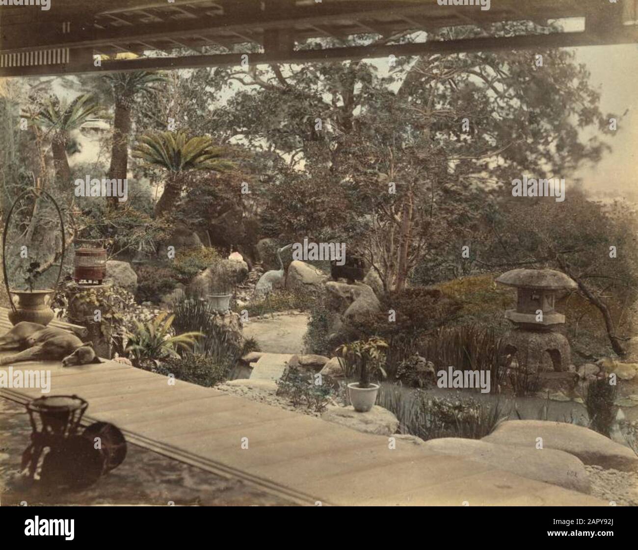 Vista sul giardino dalla veranda di una casa da tè giapponese. C'è un cane che dorme sul portico. Nelle palme da giardino o nelle felci di alberi, una statua del giardino di una gru e una lanterna da giardino. Giappone, luogo sconosciuto [forse dintorni di Nagasaki], non ondato [Foto appartenenti ad una serie di 42 stampe nella collezione di Savings City Photo di Felice Beato, Kusakabe Kimbei o Baron Raimmund von Stillfried]. Sulla base di Claudia Gabriele Philipp, Dietmar Siegert, Rainer Wick (ed), Felice Beato in Giappone; Photographien zum Ende der Feudalzeit 1863 1873, Heidelberg/M 1991, pagina 98, questa immagine è attribuibile a Fel Foto Stock
