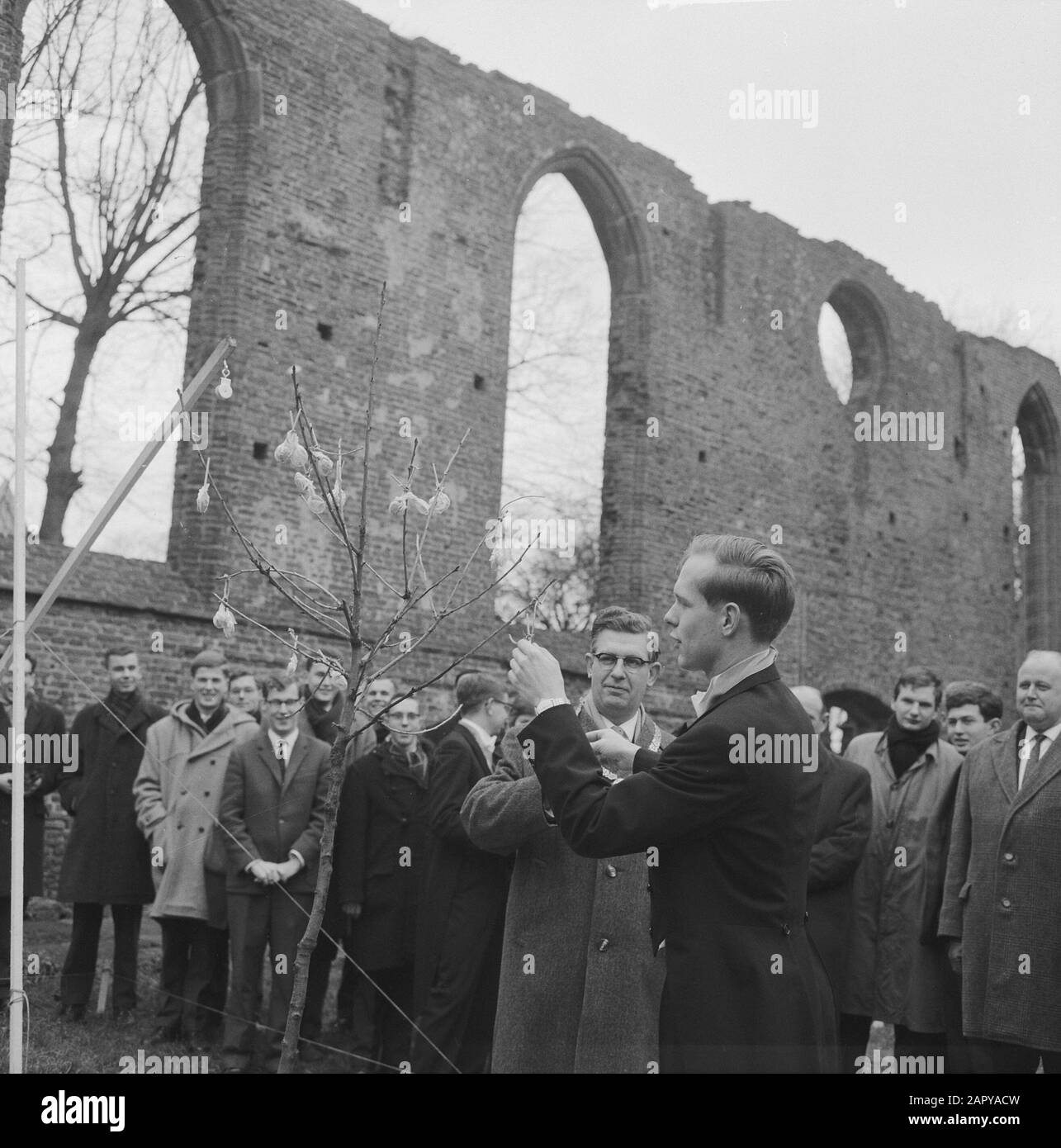 L'Orchestra degli studenti olandesi farà le prove per tre settimane nella famosa Chiesa Delle Rovine di Bergen, sotto la direzione del direttore d'orchestra Jan Brussen. Il sindaco di Bergen, il signor De Ruiter, è stato offerto un albero di ciliegio dal presidente dell'orchestra per il prato della chiesa. L'albero è stato caricato con lollipop. Data: 6 gennaio 1964 luogo: Bergen, Noord-Holland Parole Chiave: Sindaci, chiese, musica, orchestre, rovine Nome personale: Ruiter, [ ] il nome dell'istituzione: Dutch Student Orchestra Foto Stock