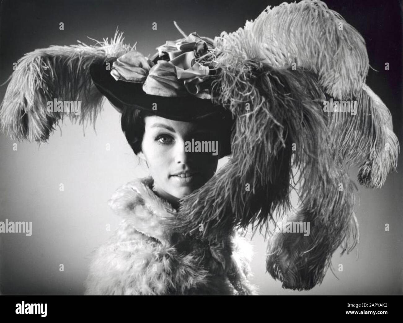 Moda donna, cappelli. Modello in pelliccia con grande cappello con fiori di  raso e piume di struzzo. Olanda, giugno 1969, registrazione in studio Foto  stock - Alamy
