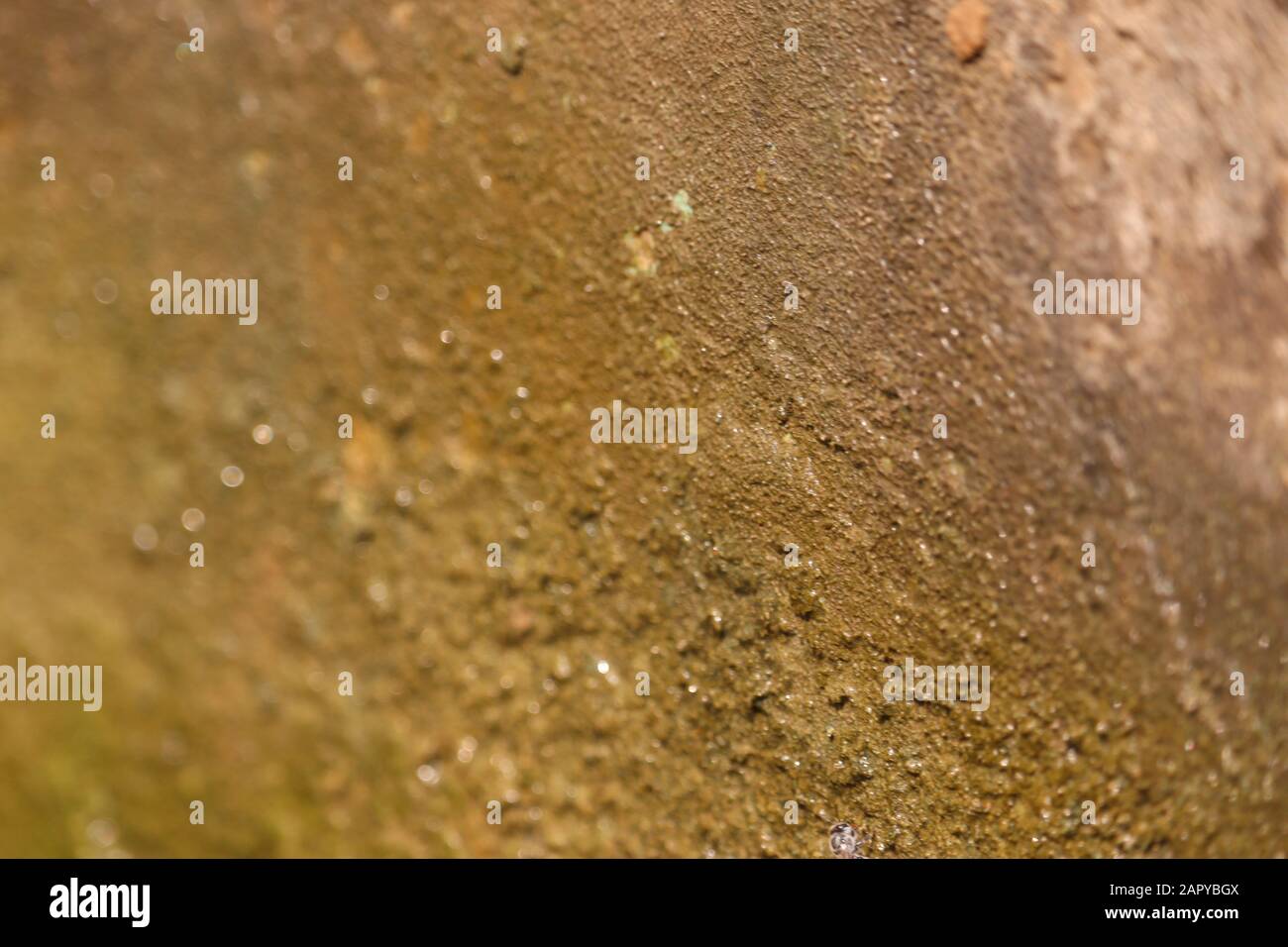 bellissimo sfondo sfocato e texture sfocata Foto Stock