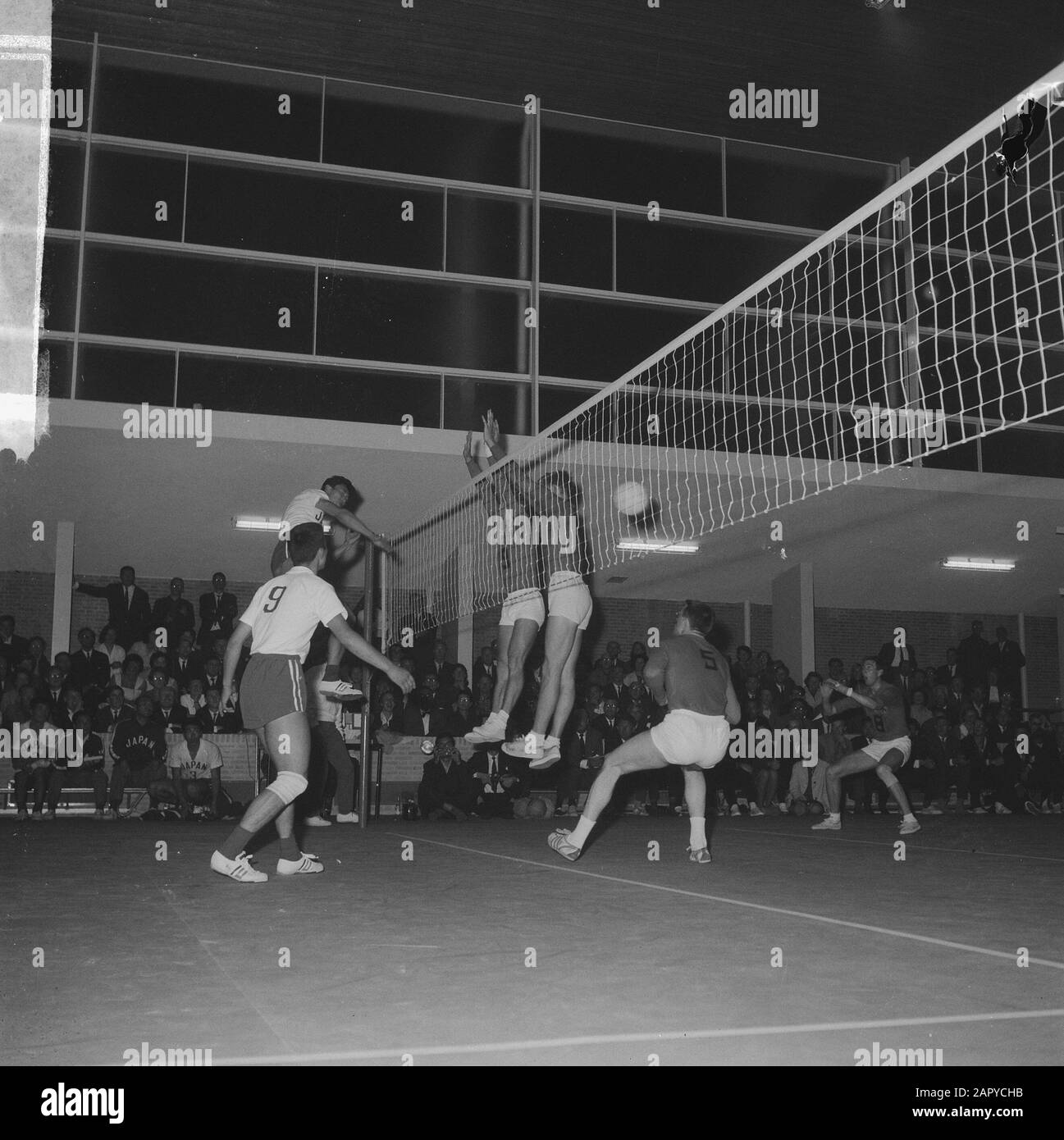 Pallavolo a Tilburg, Mens Olanda contro il Giappone, momento del gioco Data: 23 Giugno 1964 Località: Noord-Brabant, Tilburg Parole Chiave: VOLLEBAL Foto Stock