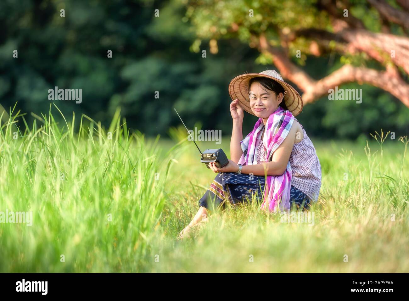 Donna che tiene radio in campo di riso Foto Stock