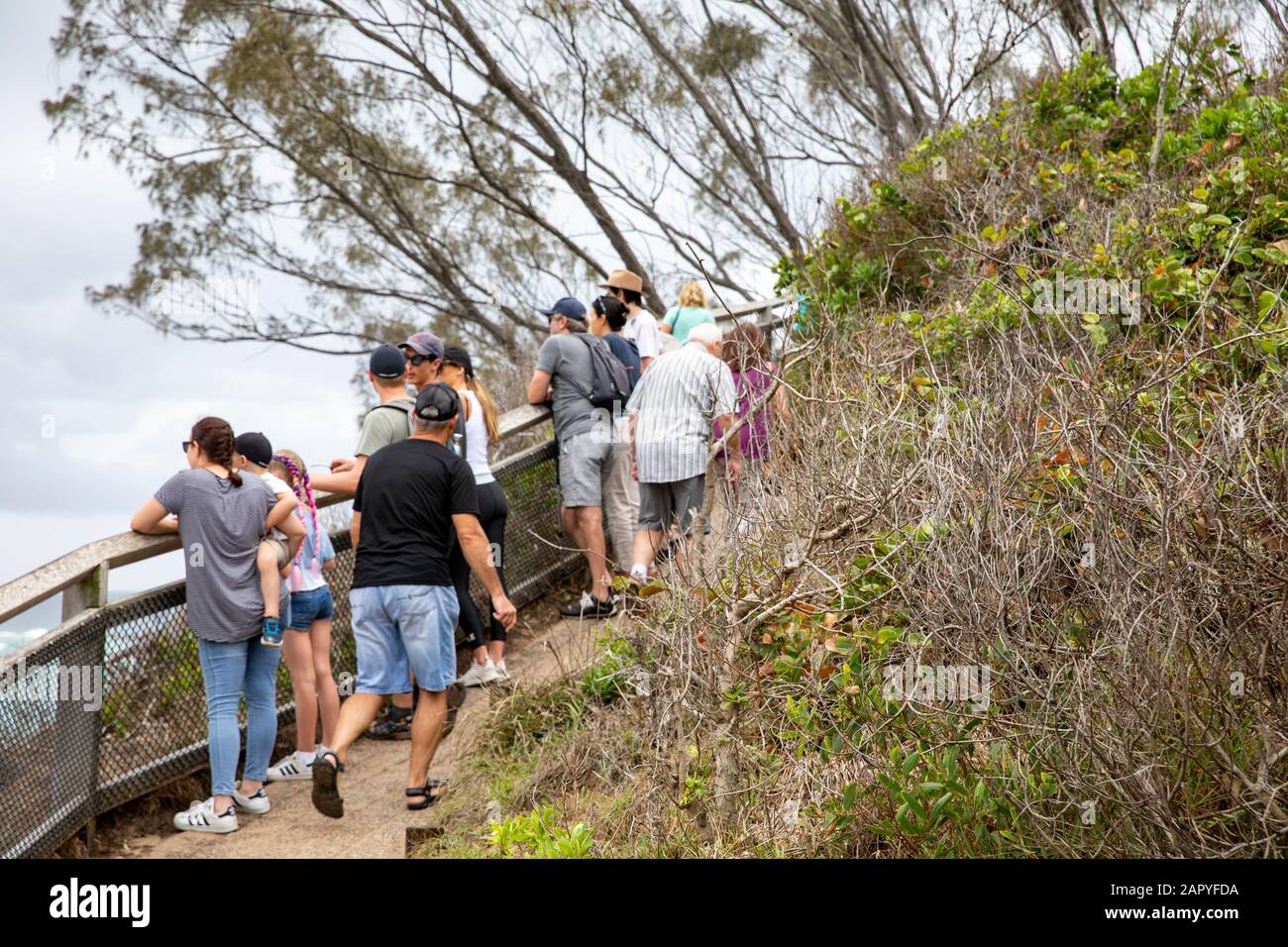 Byron Bay, Cape Byron sentiero costiero è popolare tra i turisti e visitatori della città, Australia Foto Stock