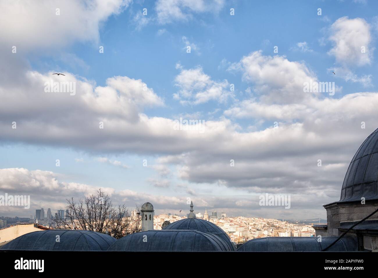 Vista sulle cupole della Moschea Suleymaniye sulla città di Istanbul Foto Stock