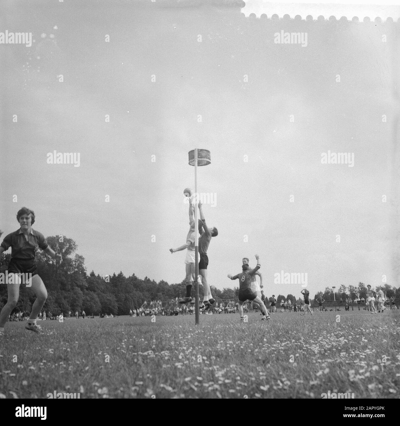 Korfbal Olanda vs. Belgio 5-6 ad Assen, attacco olandese Data: 7 giugno 1959 Foto Stock