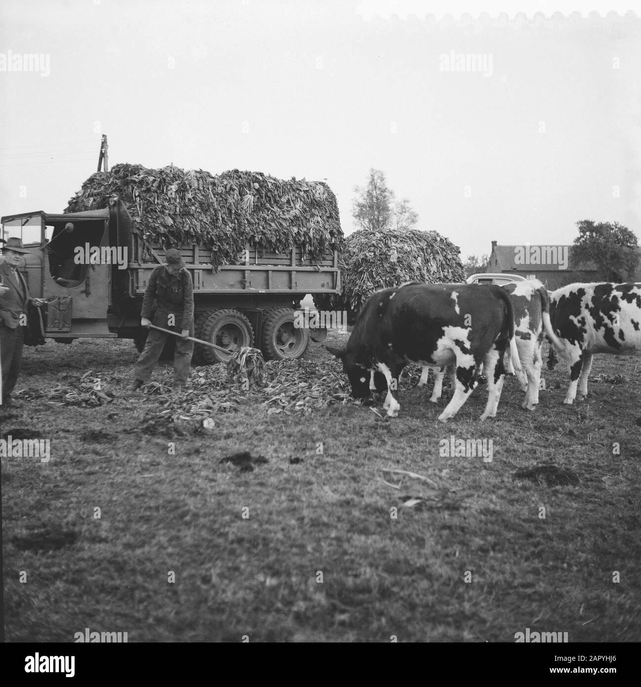 Militair: Militair Foto Stock