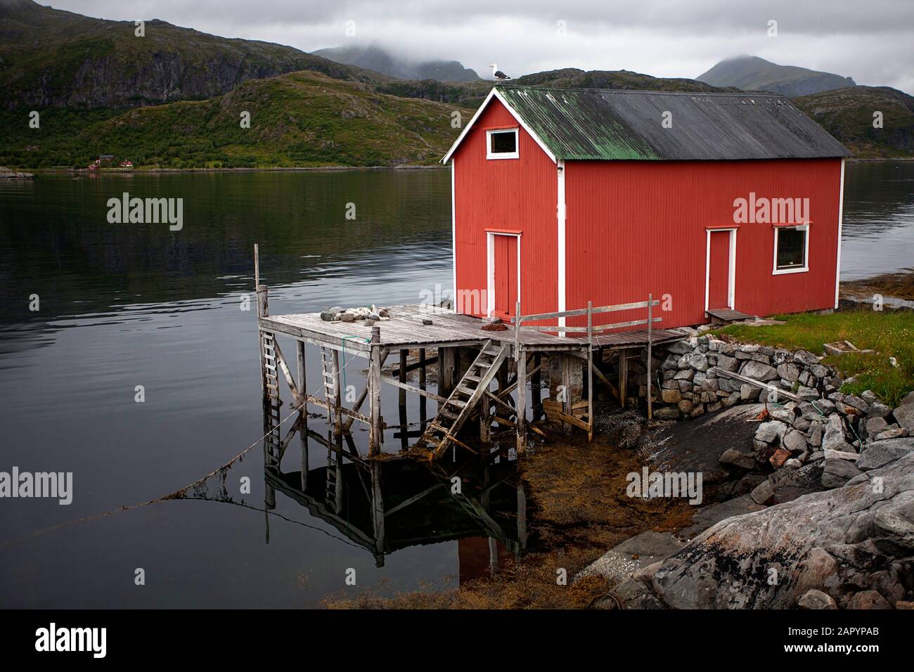 Isole Lofoten, tradizionali pescatori rossi`s capanne Rorbu sul mare, Norvegia Foto Stock