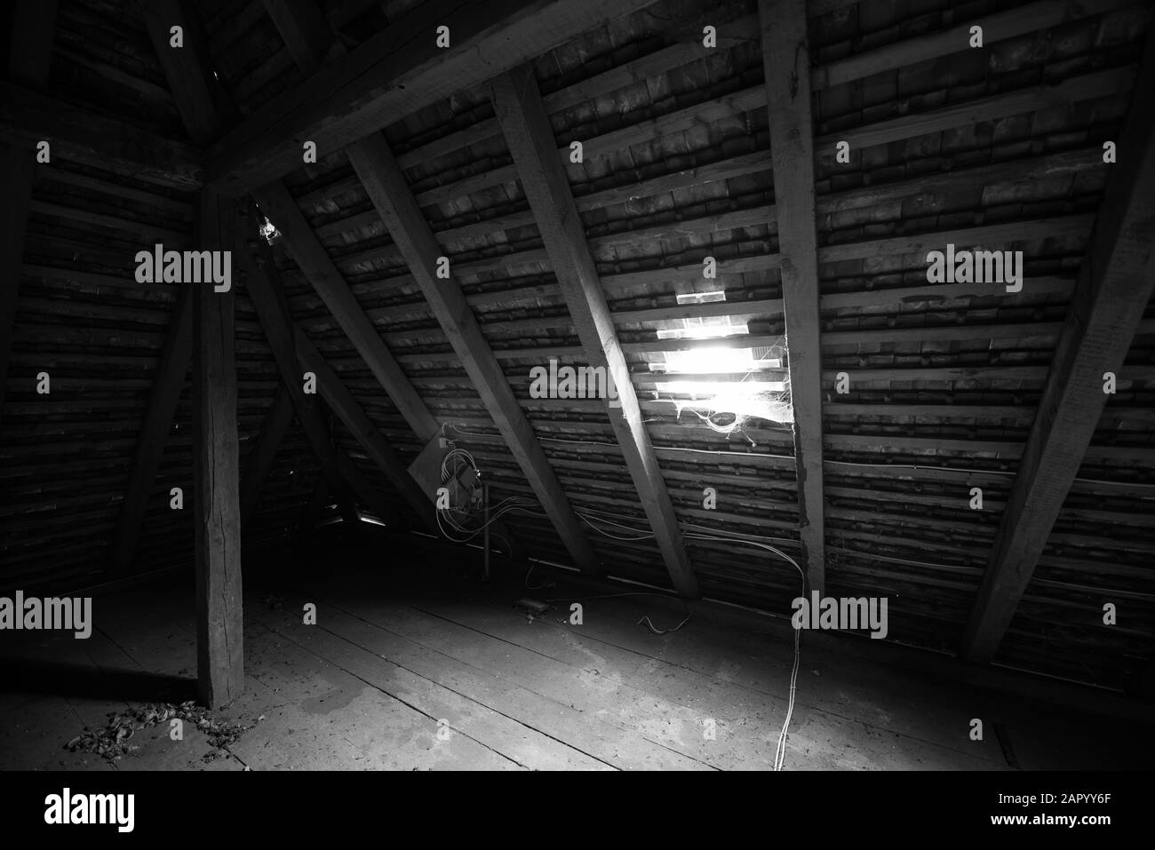 All'interno della soffitta di una vecchia casa con ragnatele. Bianco e nero. Foto Stock