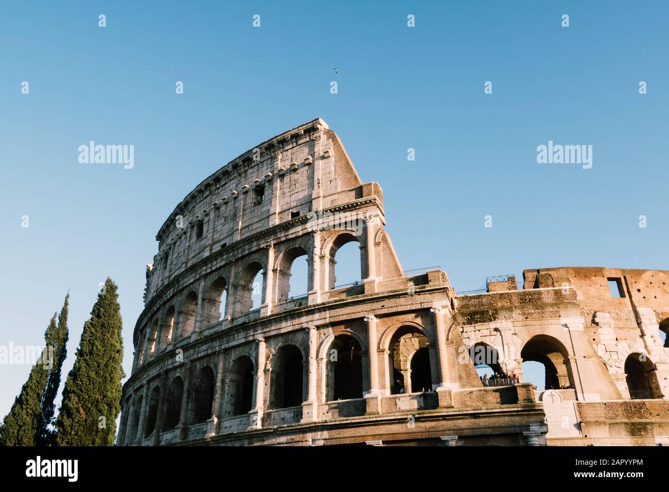 Roma, Italia - 23 Dicembre 2019: Il Colosseo Di Roma. Foto Stock