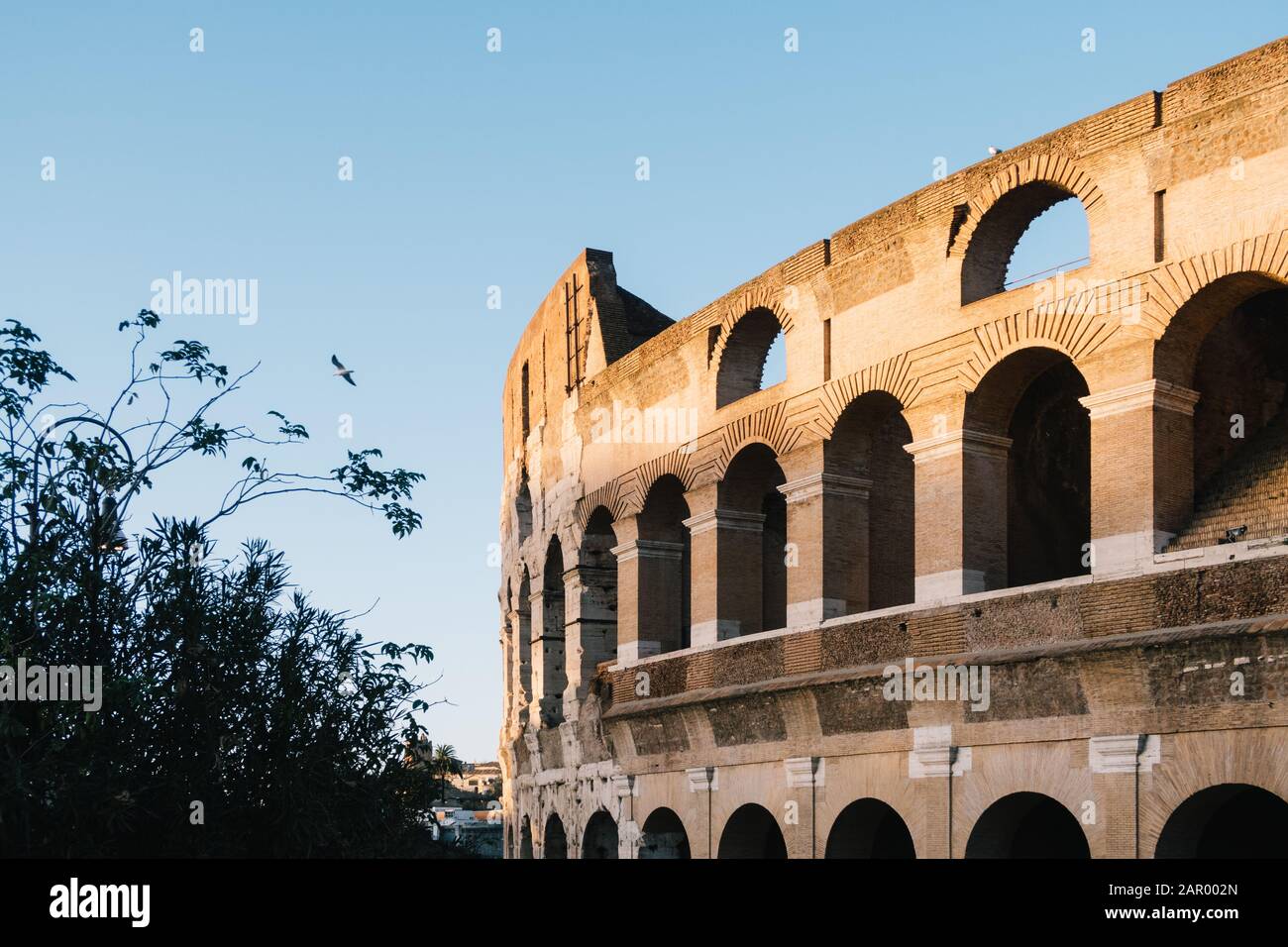 Roma, Italia - 23 Dicembre 2019: Il Colosseo Di Roma. Foto Stock