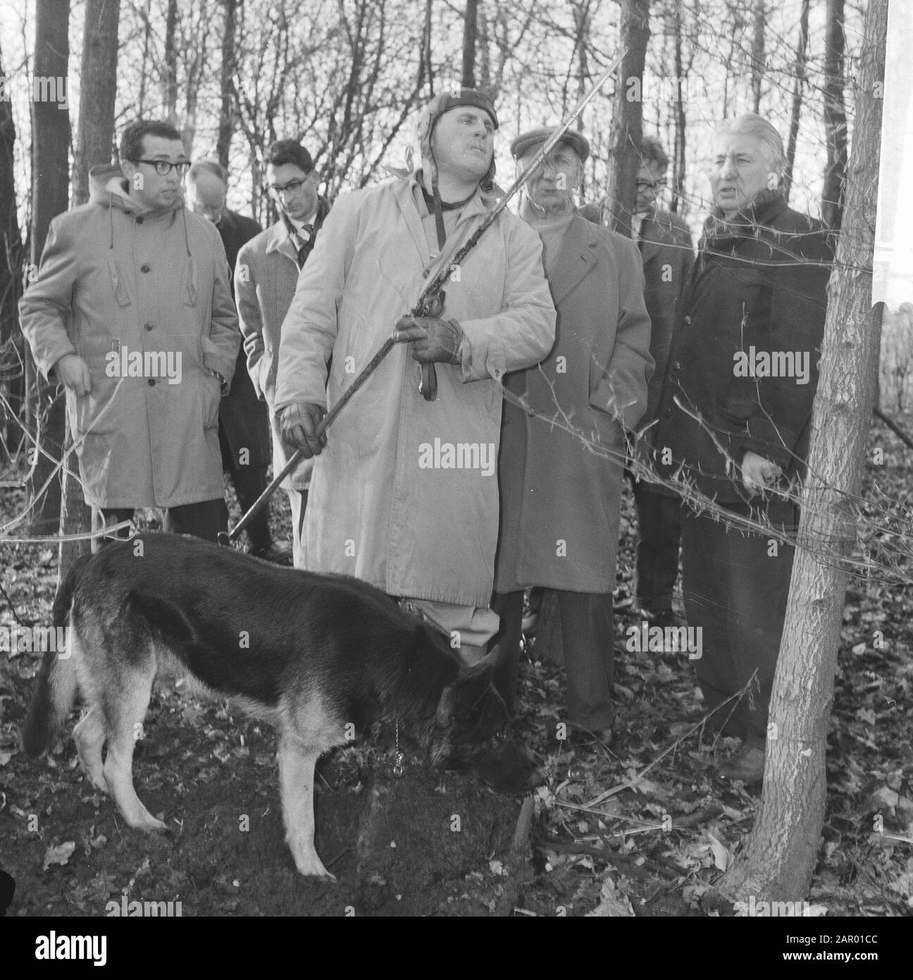 Polizia alla ricerca di un corpo di Colombo in Bosplan. Ricerca cane Roy Roland con boss ricerche Data: 6 Dicembre 1961 Nome personale: Colombo Foto Stock