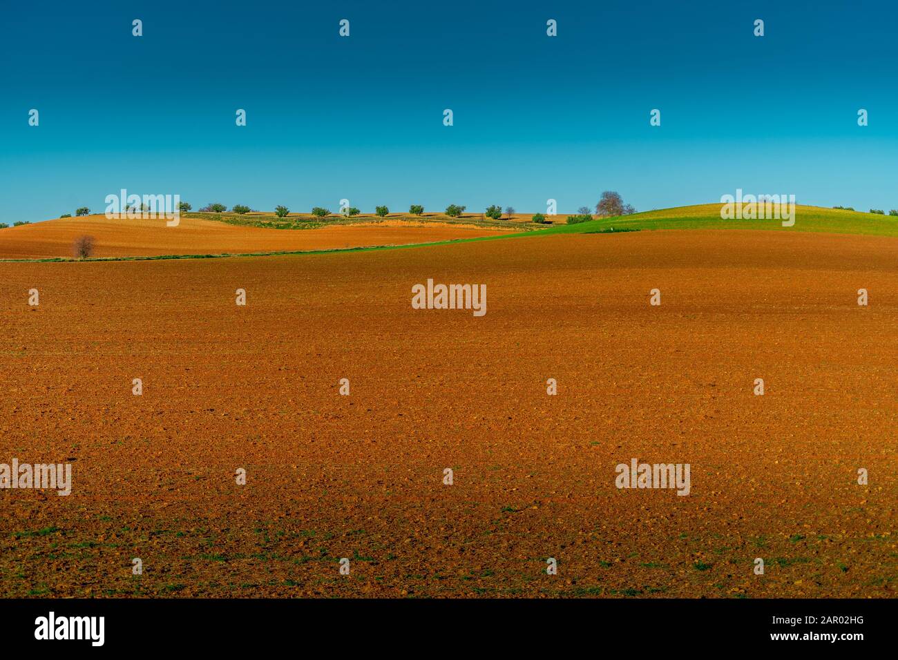 Vista mattutina del campo agricolo coltivato su basse colline con bei colori arancio, marrone, verde e cielo blu Foto Stock