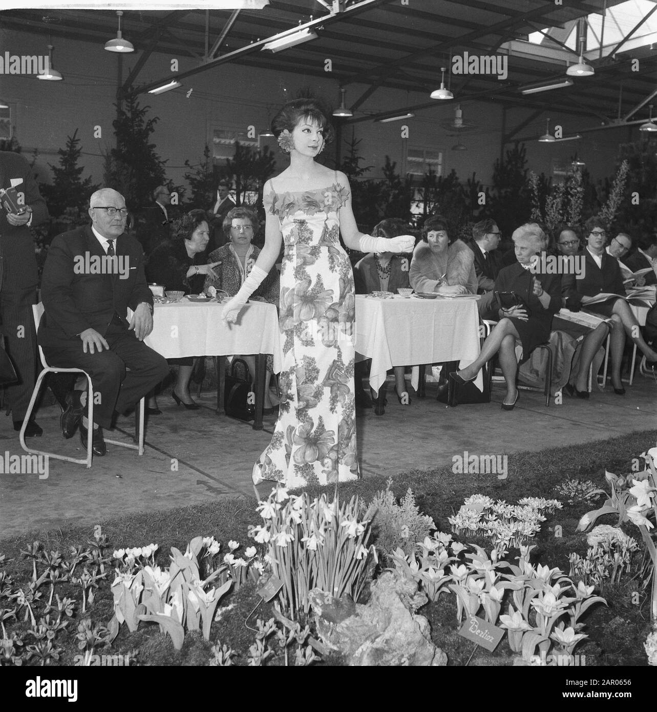 Illusion des Fleurs sfilata di moda Bovenkarspel. Modelli tra fiori e mucche Data: 20 Febbraio 1962 Località: Bovenkarspel Parole Chiave: Fiori, MUCCHE, MODELLI, sfilate di moda Foto Stock