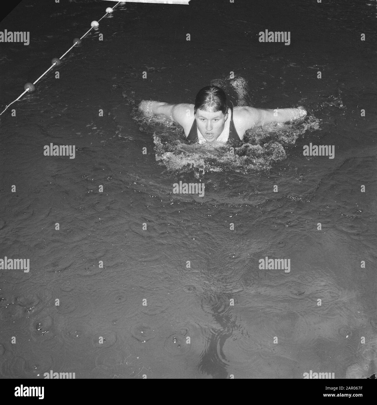 Marianne Heemskerk migliora il record europeo. Con fiori Data: 28 Febbraio 1962 Parole Chiave: Nuotatori Nome personale: Heemskerk, Marianne Foto Stock