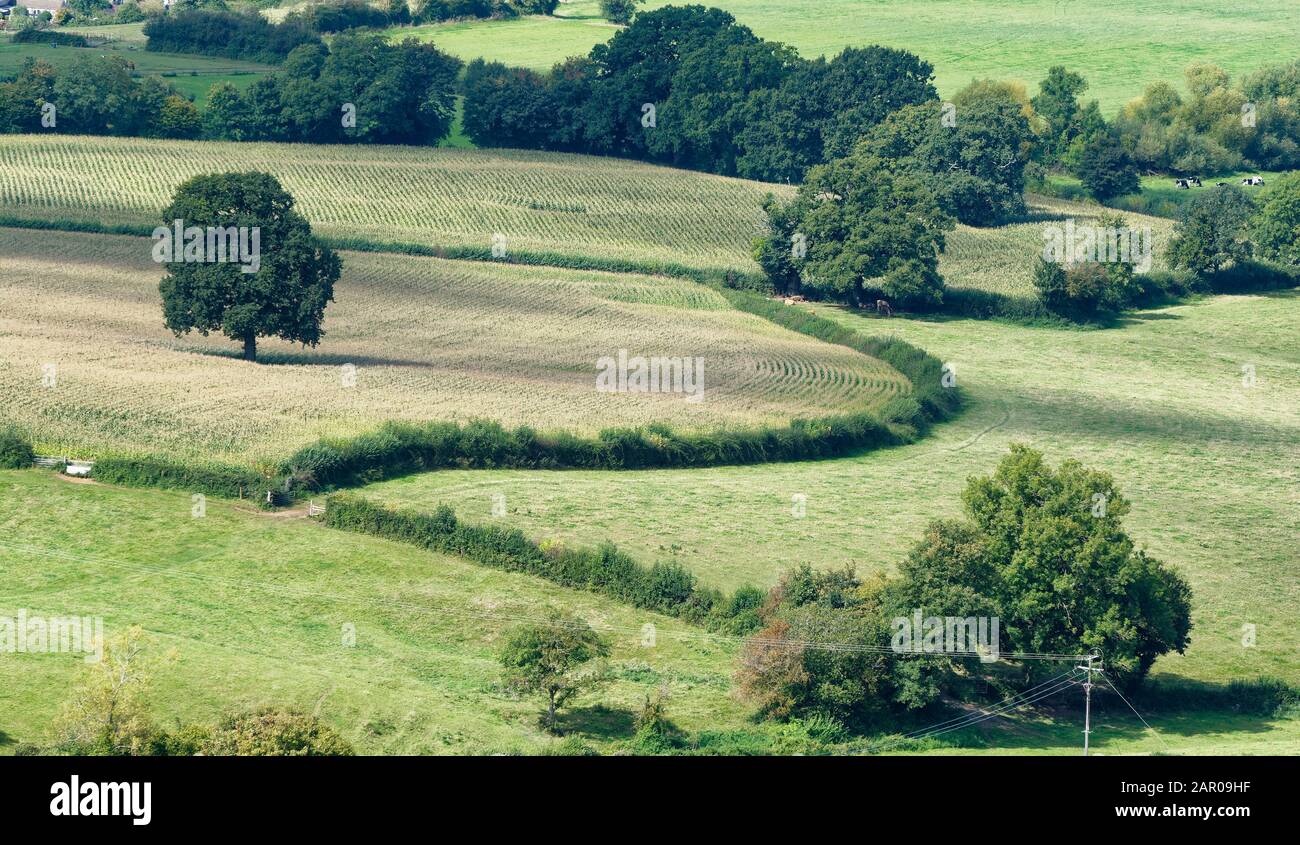 Terreno Agricolo Rurale Visto Da Selsley Common, Val Stroud, Gloucestershire Foto Stock