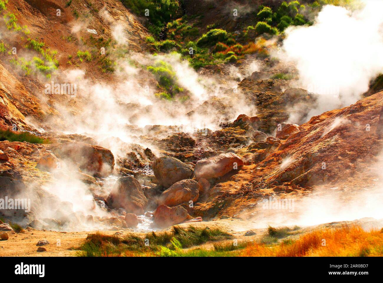 La Valle Dei Geyser Nella Riserva Naturale Di Kronotsky. Foto Stock