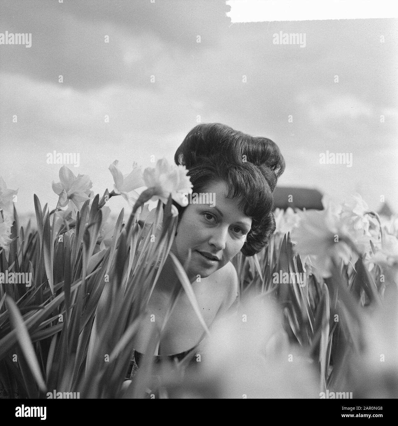 La ligne Tulpia, una nuova acconciatura del parrucchiere donna Hans Heemskerk ispirato ai fiori. Modello José con l'acconciatura Data: 22 Aprile 1964 Parole Chiave: Acconciature, narcisi Nome personale: Heemskerk, Hans, la Ligne Tulpia Foto Stock