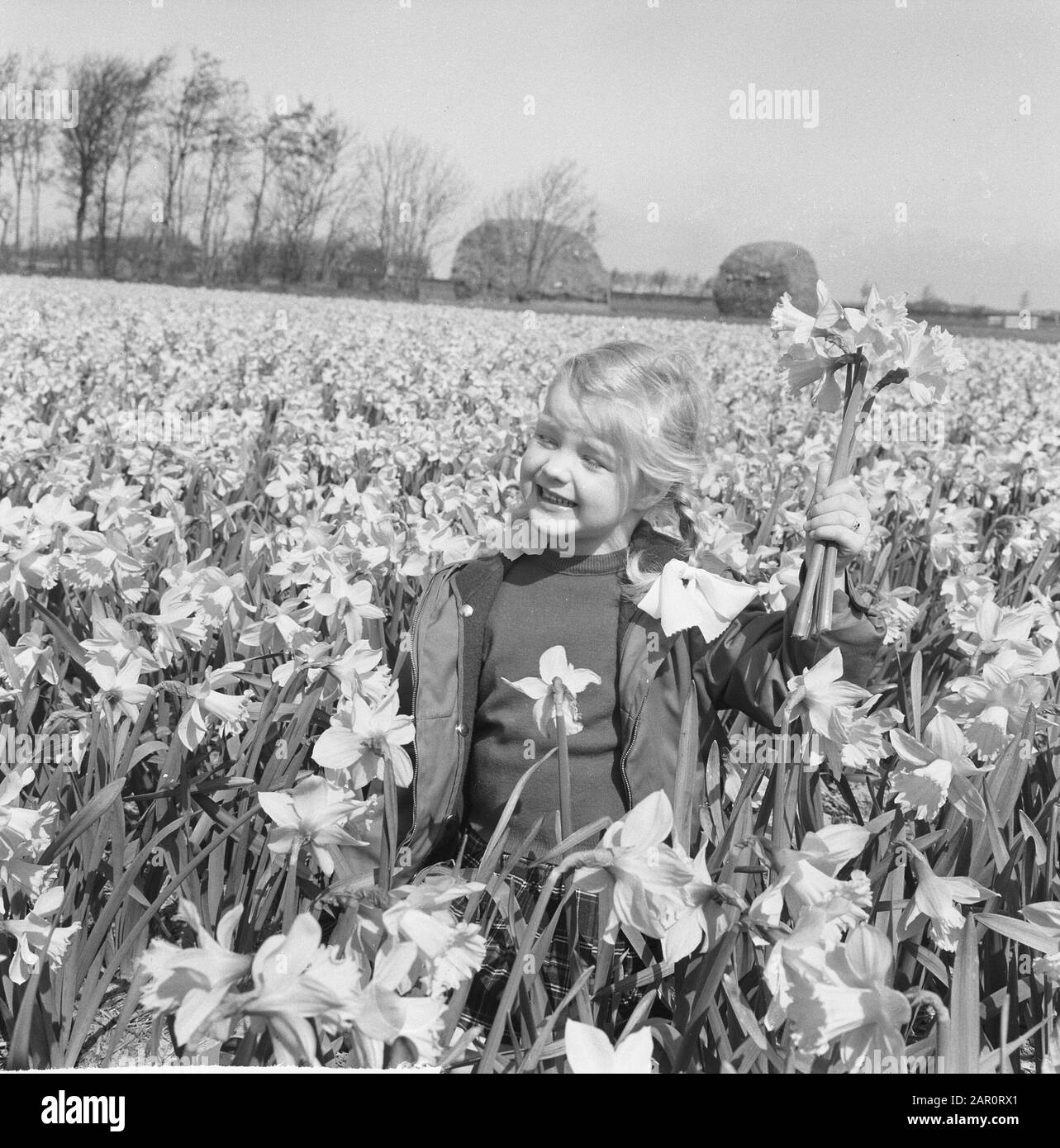 Bambini di primavera in un campo di daffodil Data: 15 aprile 1964 Parole Chiave: Bambini, Nome Della Persona di primavera: Narcisi Foto Stock