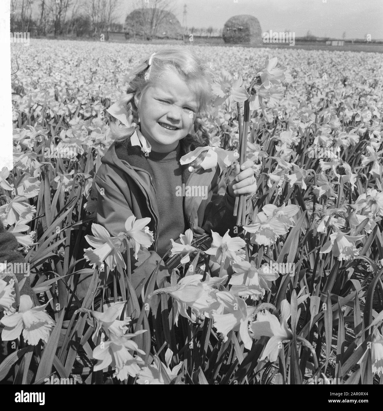 Bambini di primavera in un campo di daffodil Data: 15 aprile 1964 Parole Chiave: Bambini, Nome Della Persona di primavera: Narcisi Foto Stock