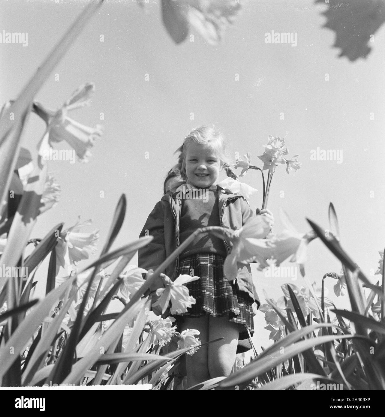 Bambini di primavera in un campo di daffodil Data: 15 aprile 1964 Parole Chiave: Bambini, Nome Della Persona di primavera: Narcisi Foto Stock