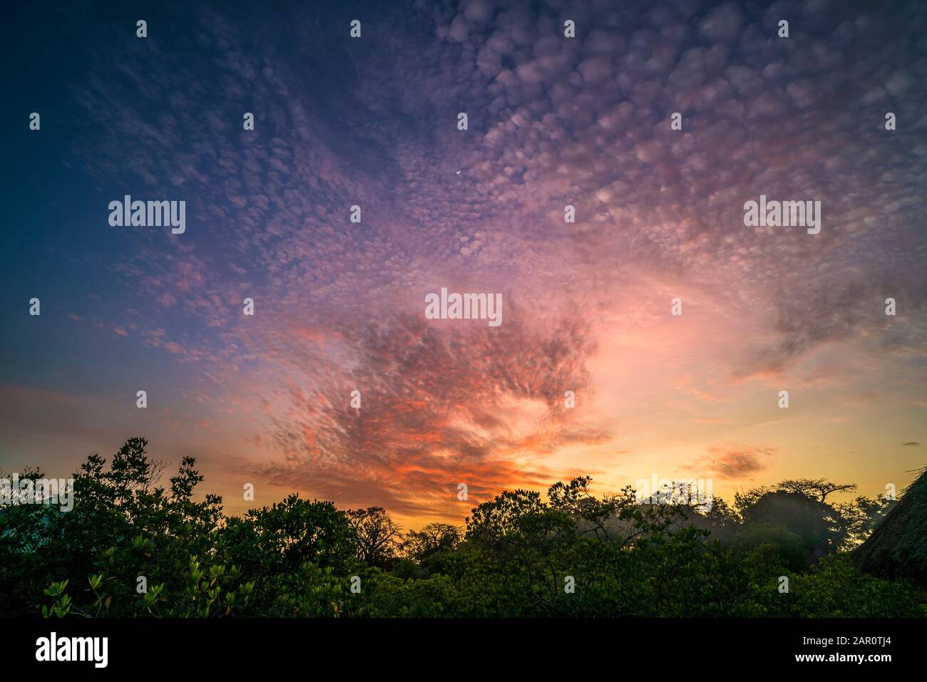 Sonnenuntergang a Bintang, Gambia, Westafrika | tramonto a Bintang, Gambia, Africa occidentale, Foto Stock