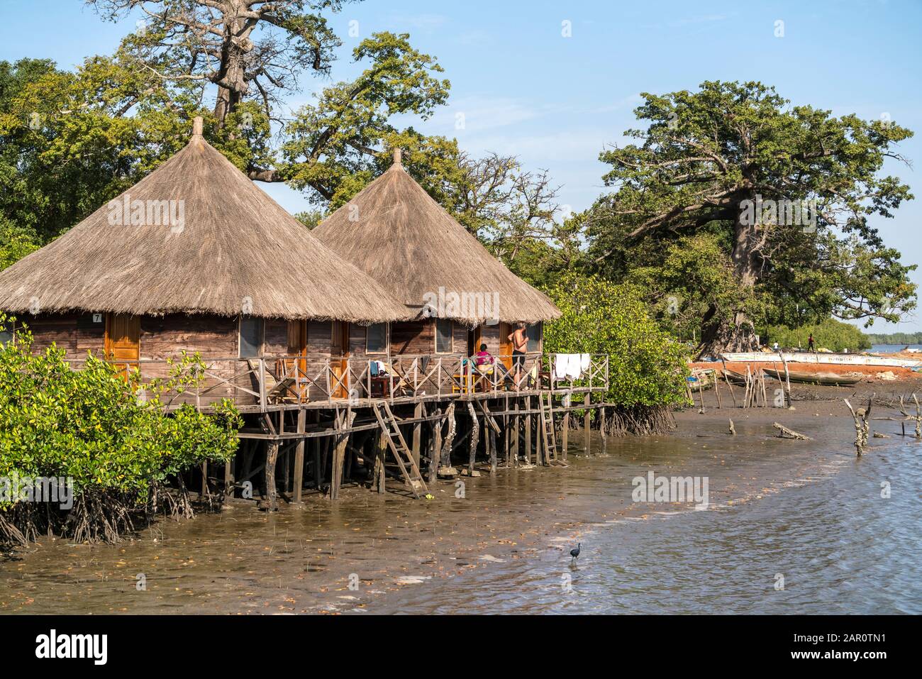 Hütten auf Pfählen der Bintang Bolong Lodge an einem Seitenarm des Gambia River, Bintang, Gambia, Westafrika | stlt capanne del Bintang Bolong lo Foto Stock