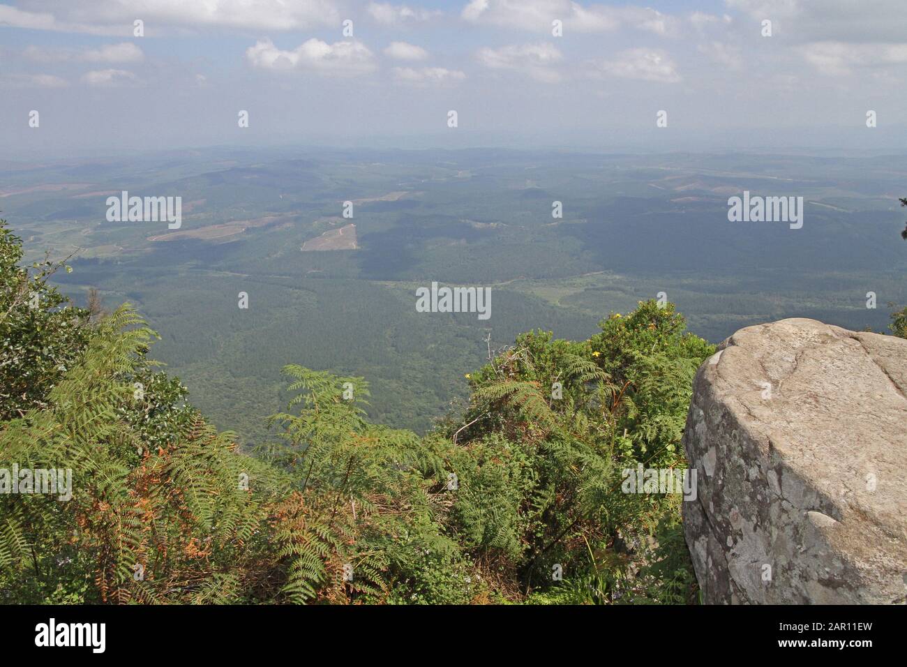 Veduta Aerea Del Parco Nazionale Kruger Dalla Finestra Di Dio, Scenic Route Mpumalanga, Sud Africa. Foto Stock