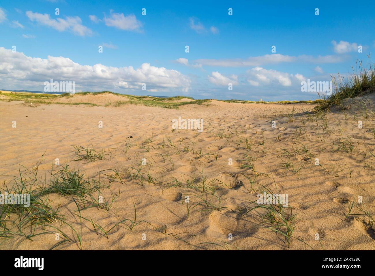 Dune di sabbia con cielo blu e erba Foto Stock