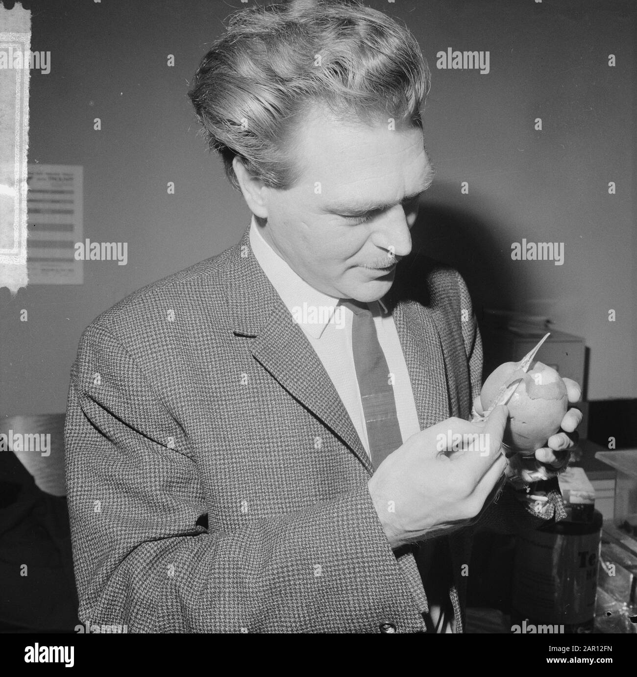 Peertje peels with a fish, rasoio fish in Aquarium of Artis Data: 21 dicembre 1964 Località: Amsterdam, Noord-Holland Nome istituzione: Artis Foto Stock