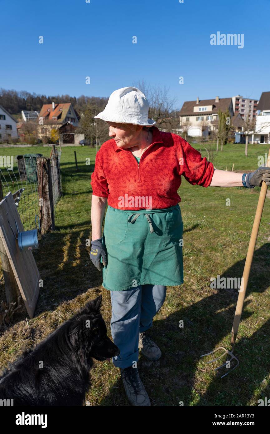 Donna giardiniere guarda lateralmente con camicia rossa, pantaloni blu, grembiule verde, cappello bianco e cane nero. Tratto, camicia rossa, pantaloni blu, grembiule verde, wh Foto Stock