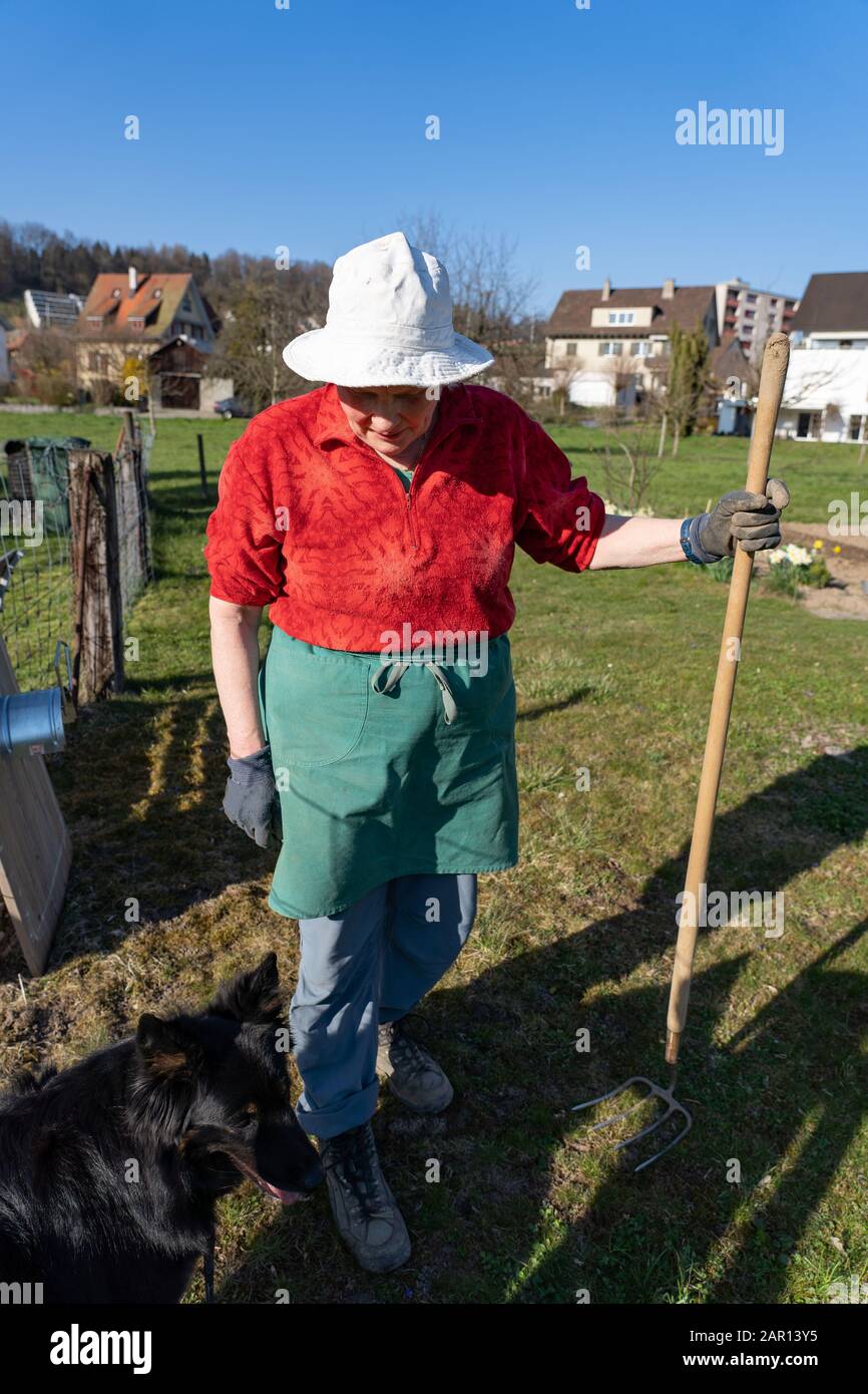 Ritratto donna giardiniere. Primavera, di fronte a macchina fotografica, profit, camicia rossa, pantaloni blu, grembiule verde, cappello bianco, cane Foto Stock