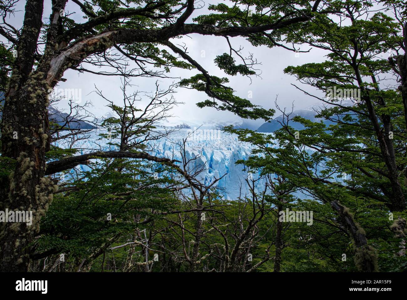 Il Ghiacciaio Perito Moreno, El Calafate, Argentina Foto Stock