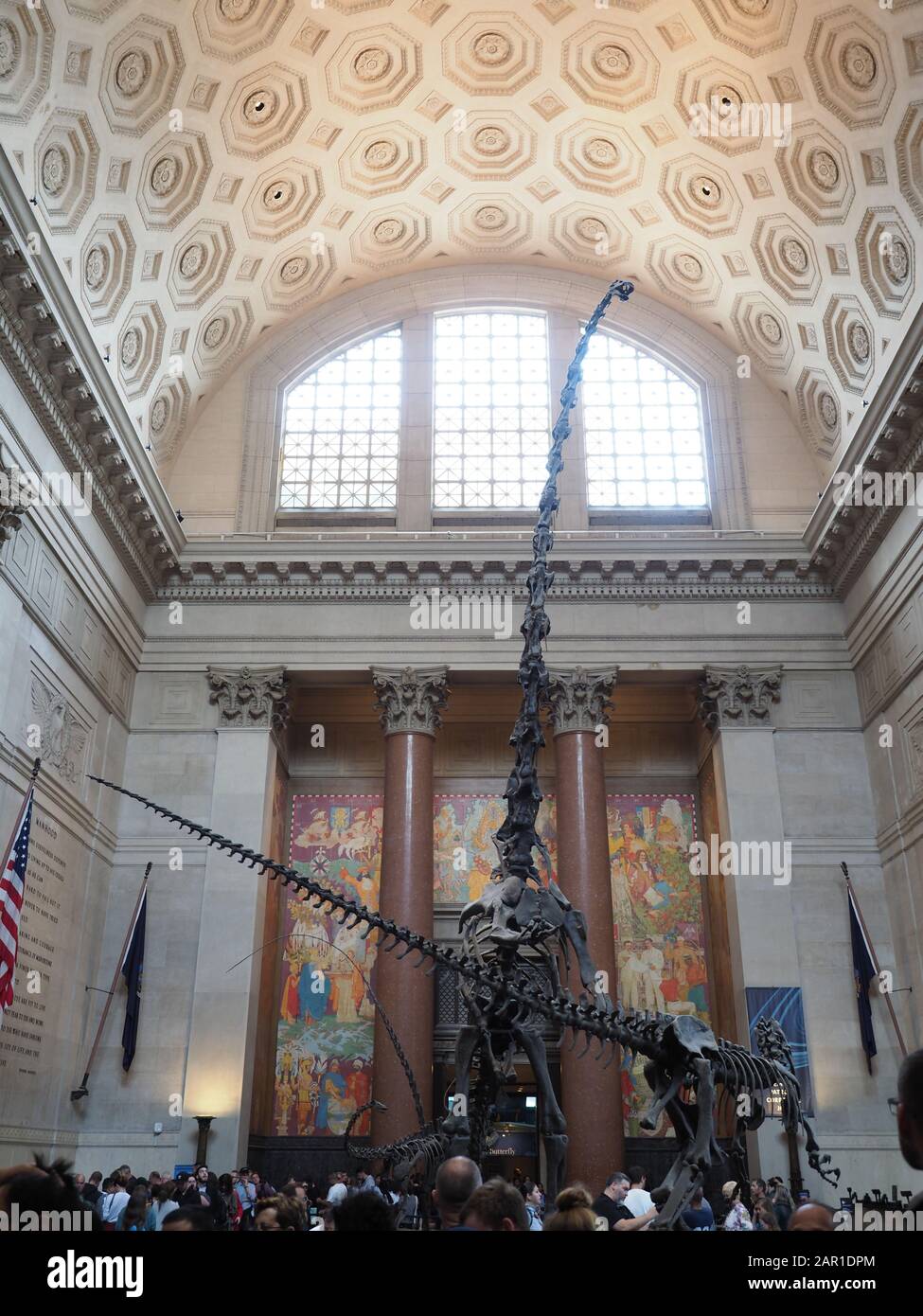 New York, USA - 30 maggio 2019: Immagine della Theodore Roosevelt Rotunda. Questa sala è l'ingresso al Museo Americano di Storia Naturale di New York Foto Stock