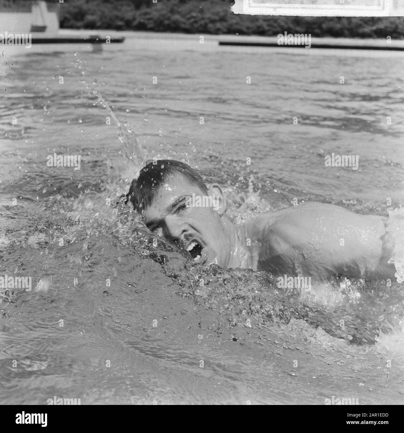 Campionati militari di nuoto a Soestduinen, campione Han Roos 100 metri Freestyle Data: 3 agosto 1965 luogo: Soestduinen, Utrecht Parole Chiave: Campionati di nuoto Nome personale: Hans roos Foto Stock