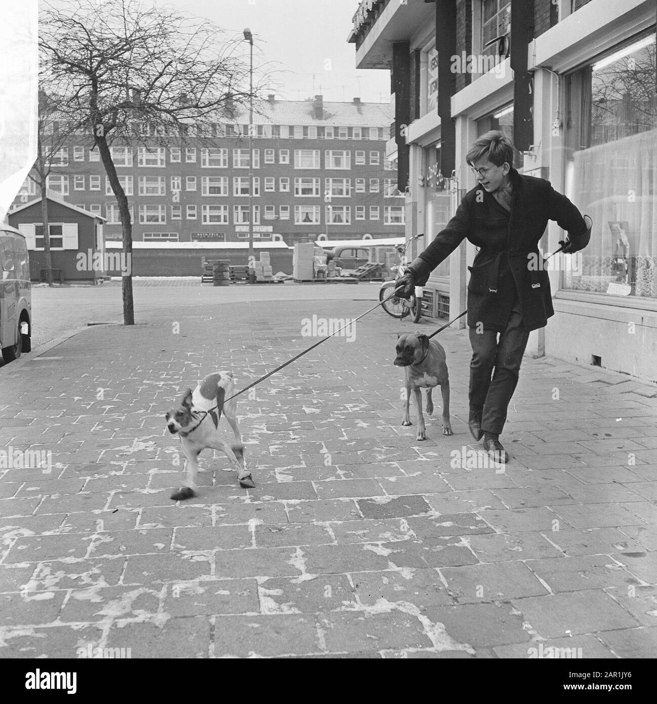 Cane sui calzini, su Samuel Mullerplein a Rotterdam, capo e cane Data: 21 gennaio 1966 Località: Rotterdam, Sud-Olanda Parole Chiave: Cani, calzini Foto Stock