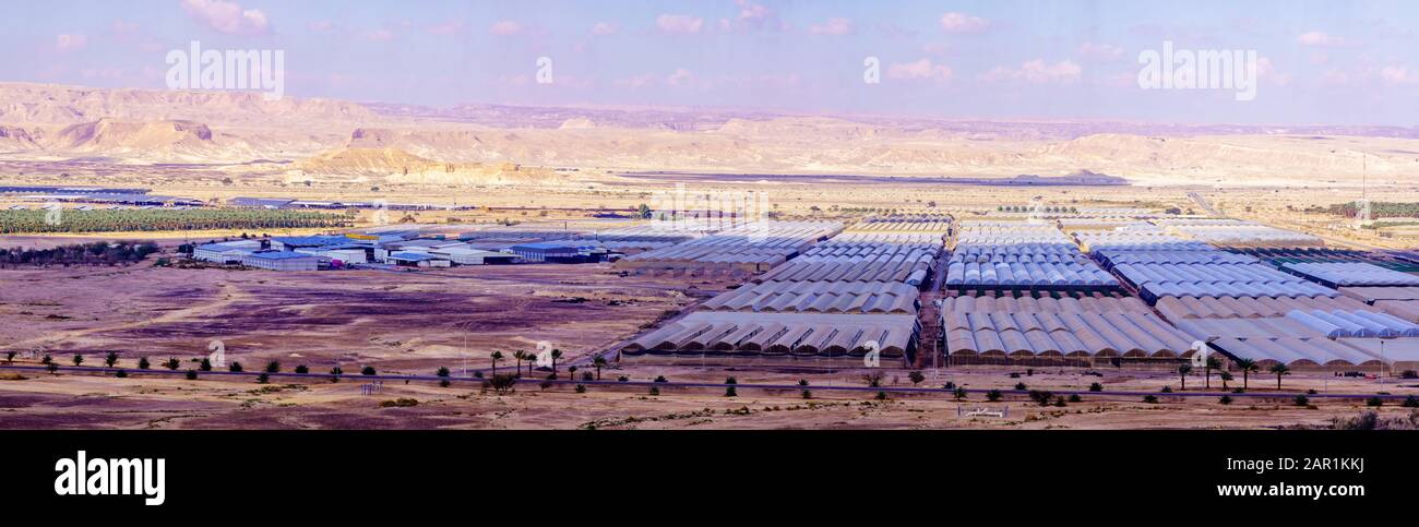 Vista panoramica della campagna e del paesaggio desertico a Moshav Paran, il deserto di Arava, Israele meridionale Foto Stock
