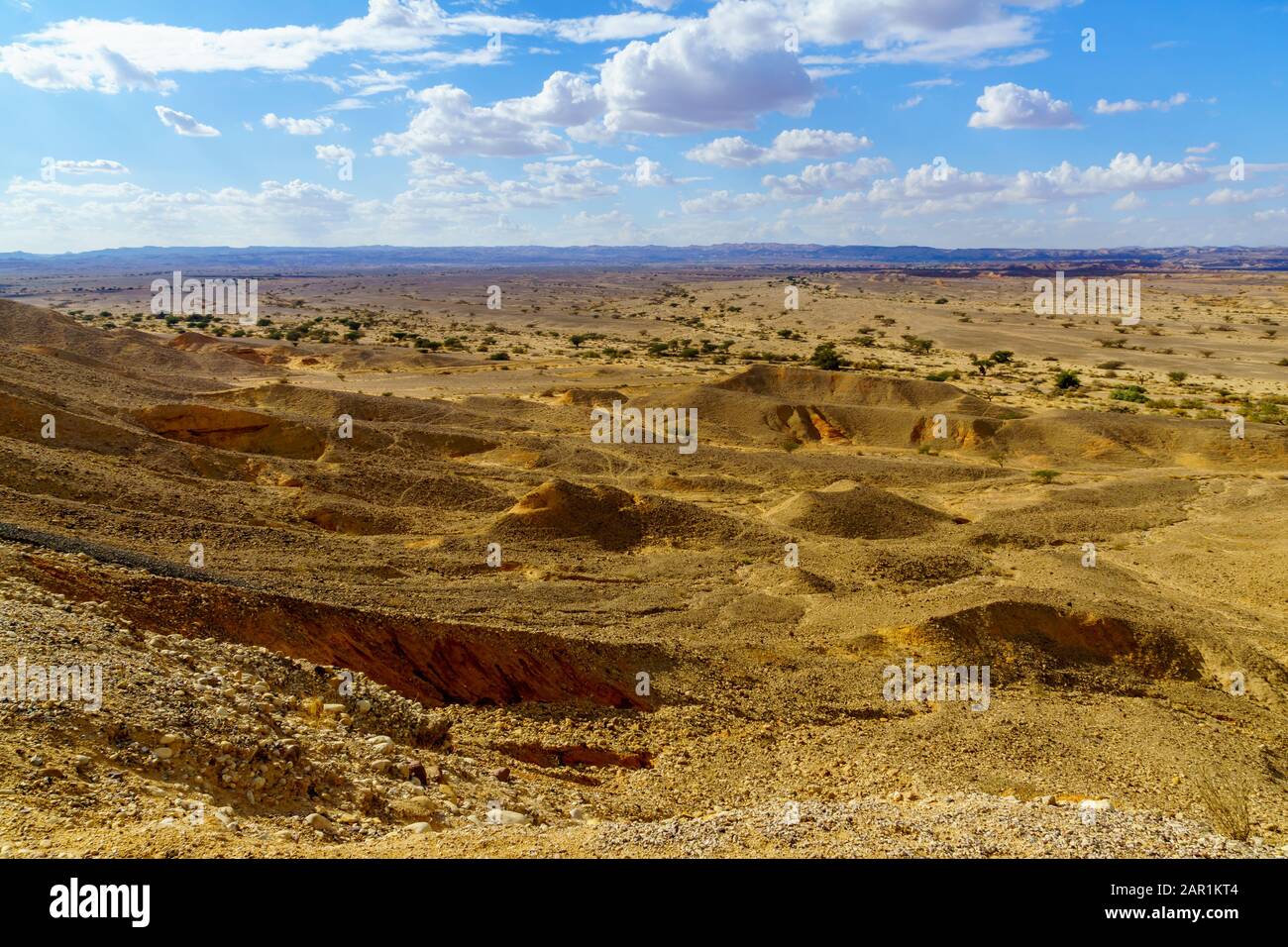 Paesaggio desertico nella Riserva Naturale di Sheizaf, il deserto di Arava, Israele meridionale Foto Stock