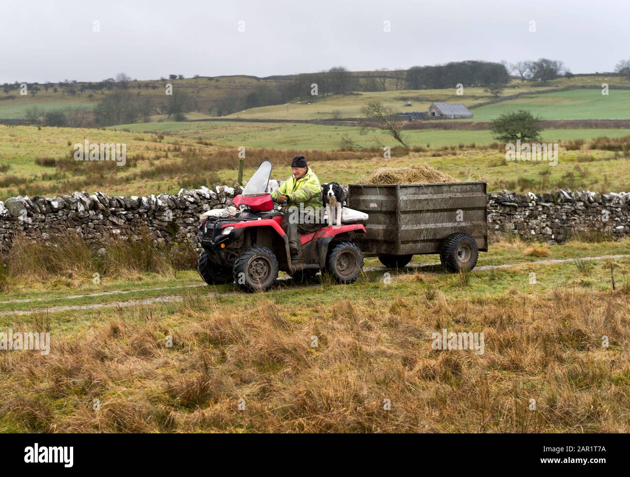 Un agricoltore dello Yorkshire Dales prende fieno e altro mangime per le sue pecore nei campi intorno a Selside vicino Horton-in-Ribblesdale, North Yorkshire Foto Stock