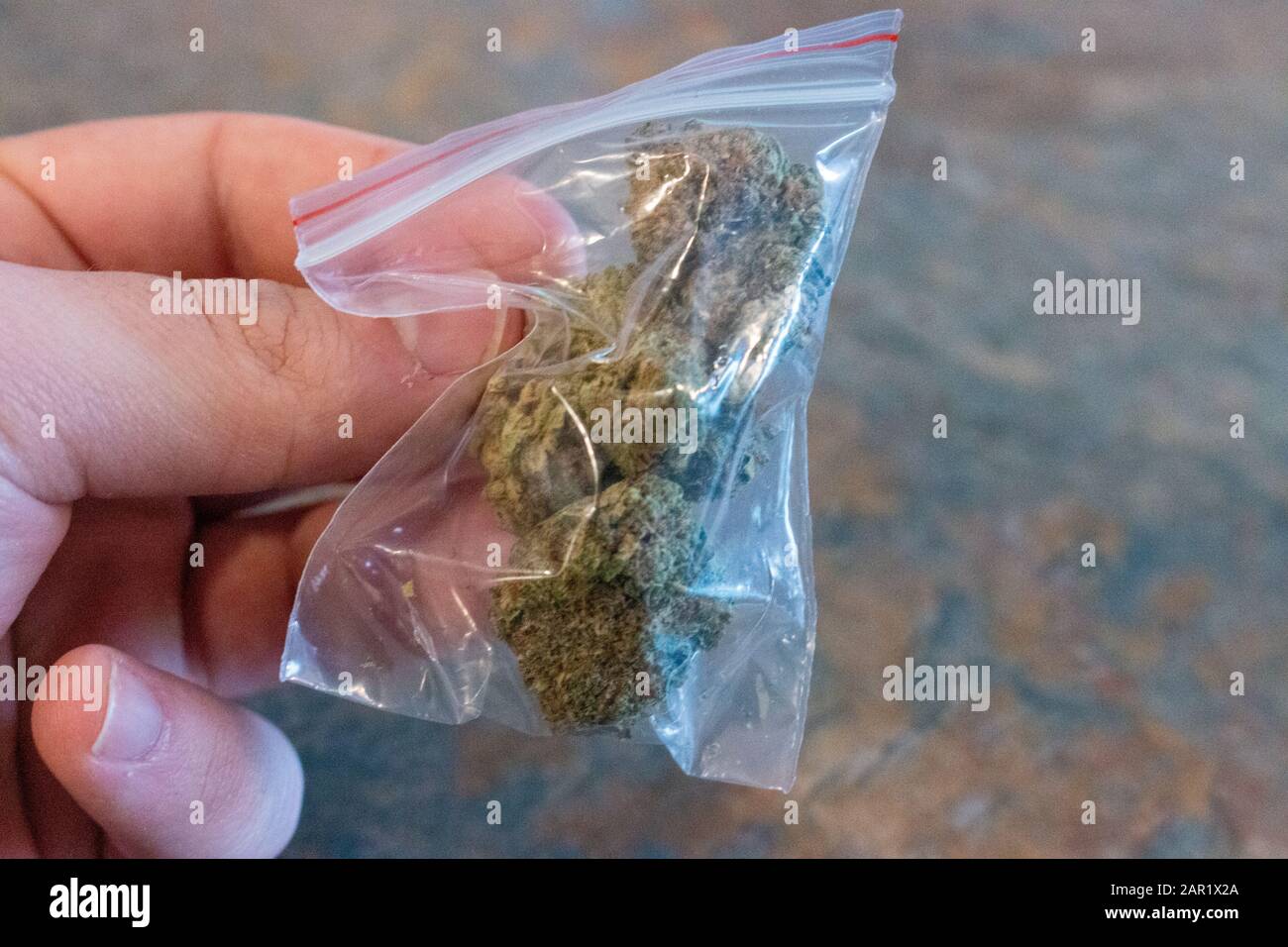 Grande sacchetto di plastica di cannabis medicinale (marijuana). Foto Stock
