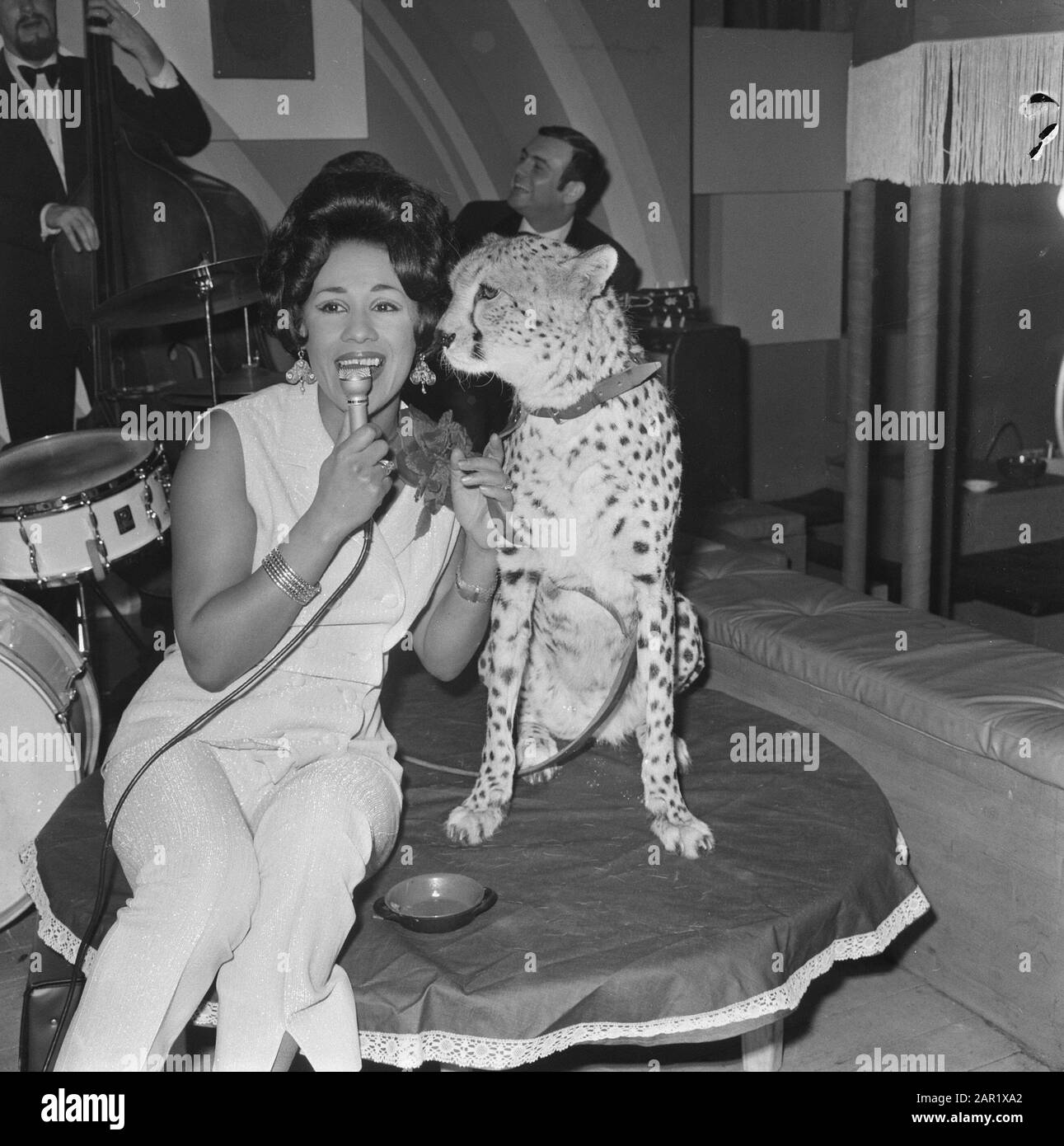 Sasi Naz ha presentato il primo lp nel Birdsclub. Qui con il suo leopardo Sabina Data: 4 gennaio 1968 Nome personale: Sasi Naz Foto Stock