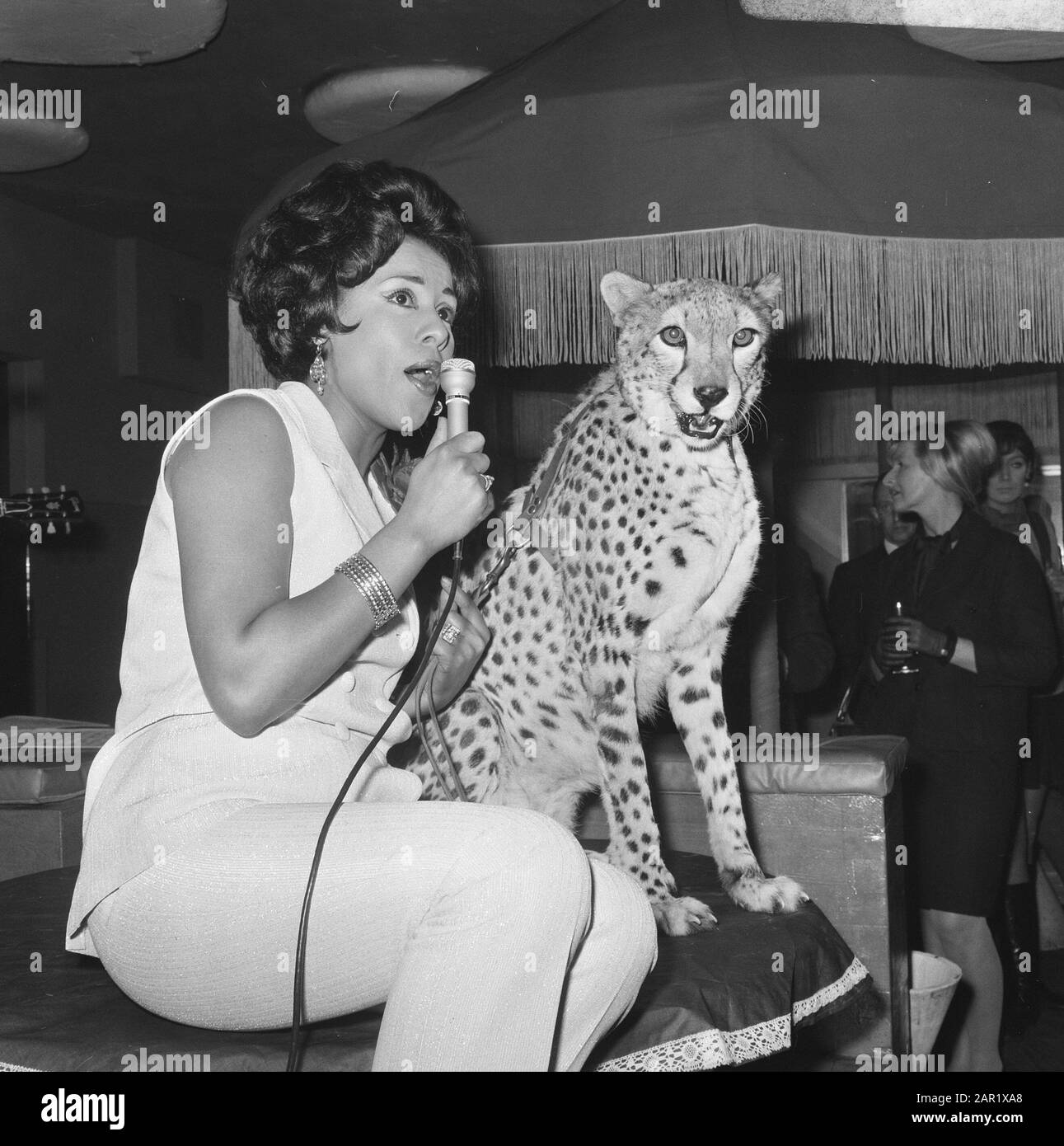 Sasi Naz ha presentato il primo lp nel Birdsclub. Qui con il suo leopardo Sabina Data: 4 gennaio 1968 Nome personale: Sasi Naz Foto Stock