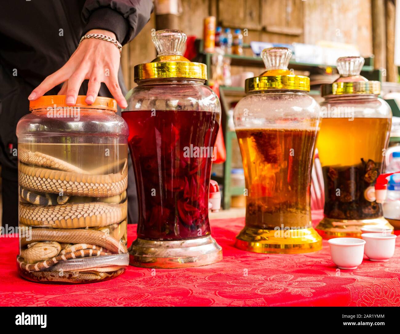 Varietà di vasetti di riso per i turisti da assaggiare, tra cui vino di riso serpente, villaggio Viet Hai, Isola di Cat Ba, Vietnam, Asia Foto Stock