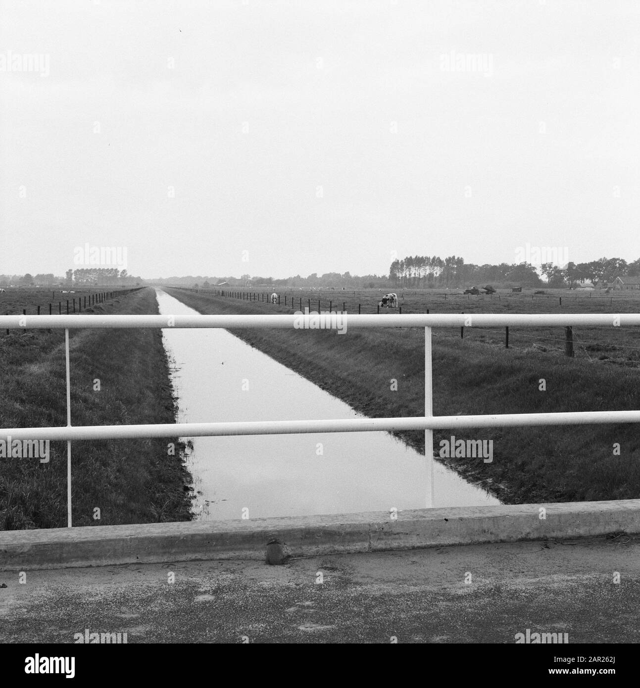 Normalizzazione di ruscelli, scavo e smorzamento di fossati, posa fognatura, subacquei e giardinaggio, canali, panoramiche, tubi, suddivisione pantaloni ruurlose nord Data: Settembre 1963 Località: Gelderland, Ruurlo Parole Chiave: Subacquei e giardinaggio, scavo e smorzamento fossati, canali, posa fognatura, tubi, normalizzazione di torrenti, panoramiche Nome del personale: Consolidamento del terreno pantaloni ruurlose nord Foto Stock